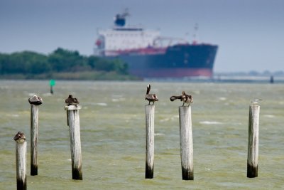 BaytownMarina_0813.jpg