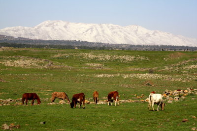 The Golan Heights, Israel.