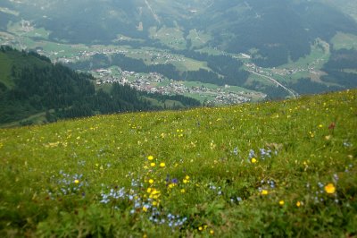 g3/70/909370/3/112884752.41FStH7m.jpg