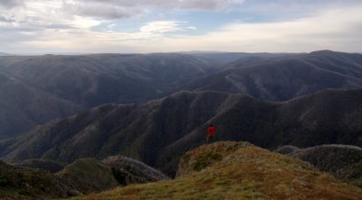 Champions Spur to Mt Feathertop