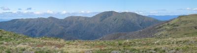 Mt Feathertop & the Razorback, VIC