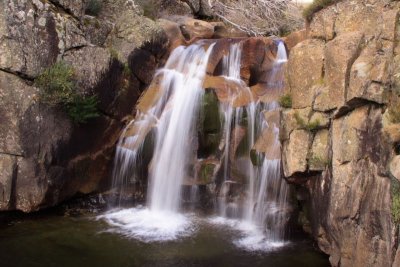 Jagungal - Kosciuszko National Park