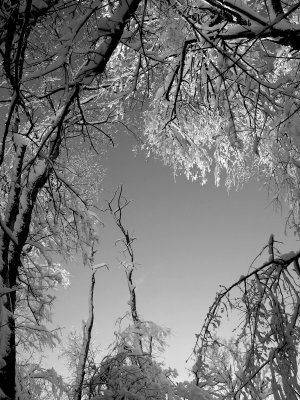 JSnow11bw.jpg