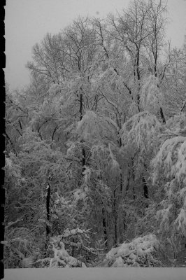 JSnow6.jpg
