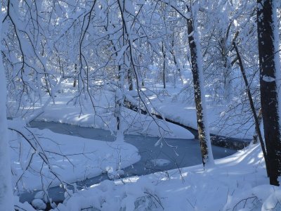 JSnow7.jpg