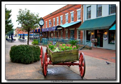 Savannah Historic Area