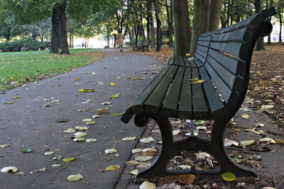 g3/71/137171/3/88538879.auvdk3PC.jpg