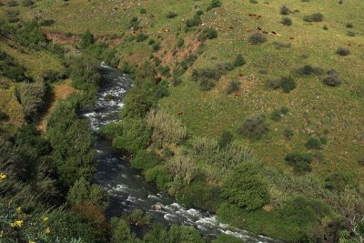 Upper Jordan river valley4