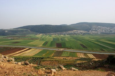 Beit Netofa Valley1