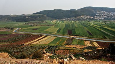 Beit Netofa Valley3