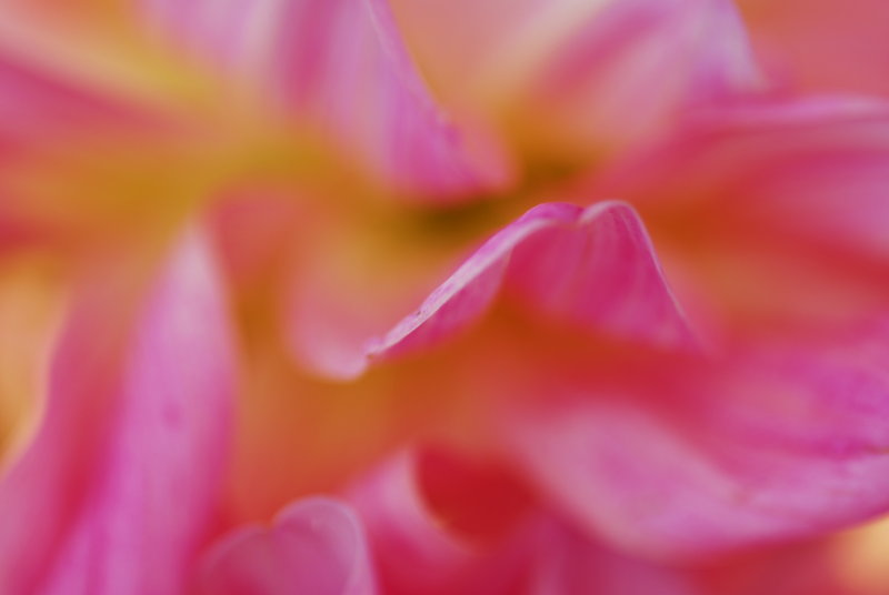 DSC_0774.JPG