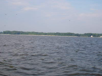 8/6/2008 - Merrick Charter Fishing Report