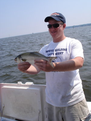 8/18/2008 Knott Charter -