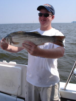 8/18/2008 Knott Charter -