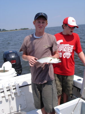 8/18/2008 Knott Charter