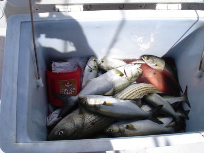 8/23/2008 Fishing Report