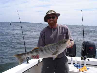 8/26/2008 Brown Charter - braggin' size Striper 35