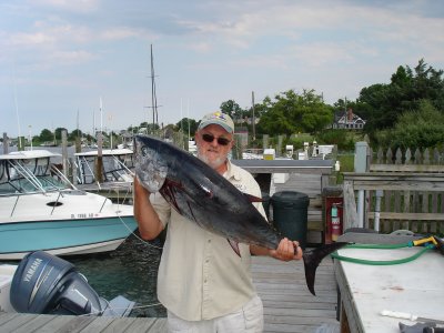 50# Tuna caught off OC onboard the old Down Time with Capt. Mike Ambler