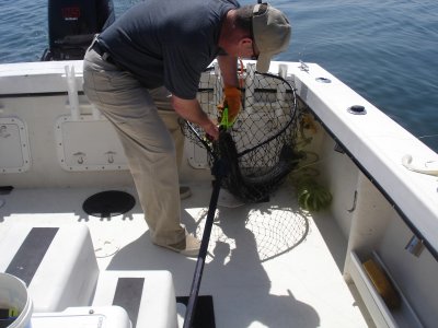 4/18/2008 - Reed Charter - Catch & Release