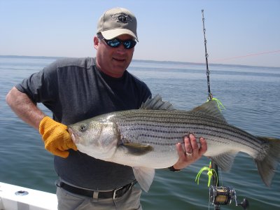 4/18/2008 - Reed Charter - Catch & Release