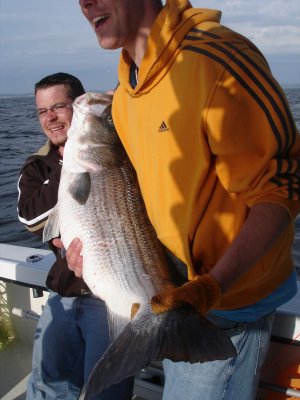 4/20/2008 - Chambers Charters - BIG Striper 46in over 50lbs