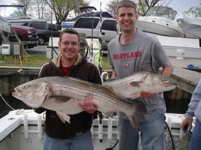 4/20/2008 - Chambers Charters - BIG Striper 46in over 50lbs and  Nice 37