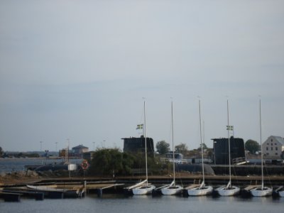 Våra närmaste grannar, svenska ubåtsflottan