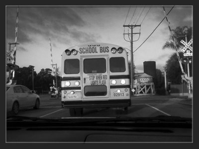 The Bus