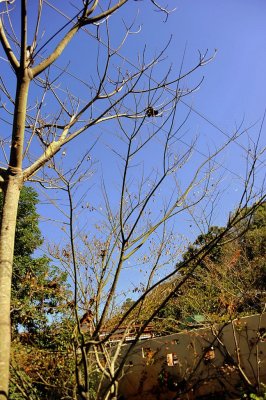 DSC_6304-1.JPG