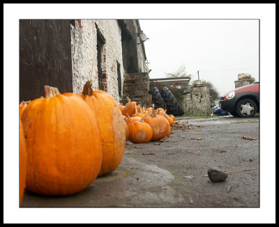 After halloween