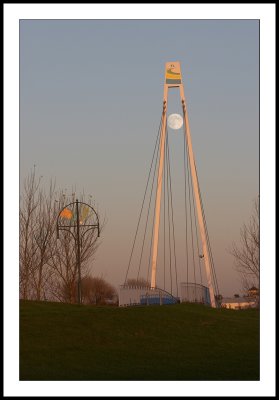 IMG_3435.jpg