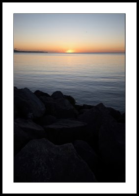 IMG_3456.jpg