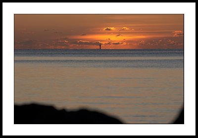 IMG_3459.jpg