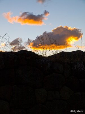 g3/71/398071/3/115030632.0C4EEHWb.jpg