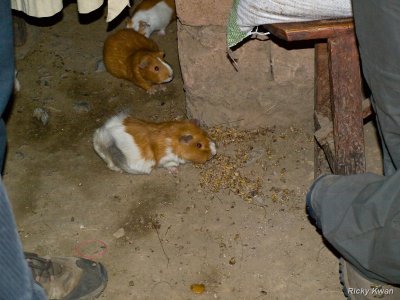 peru09_360.JPG