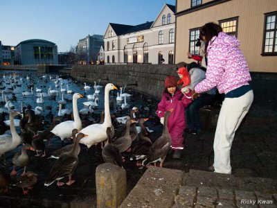 Iceland038.JPG