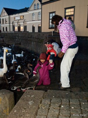Iceland039.JPG