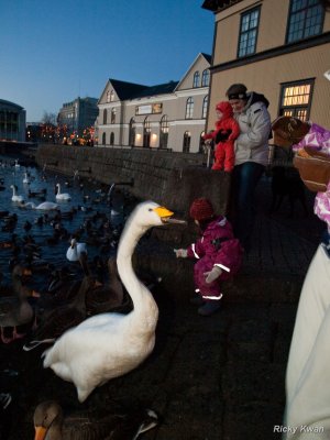 Iceland043.JPG