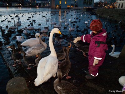 Iceland044.JPG