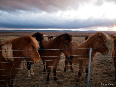 Iceland070.JPG