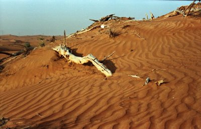 Desert  in Dubai