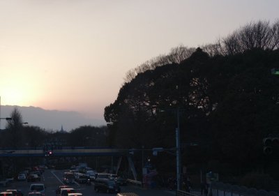 Harajuku Sunset