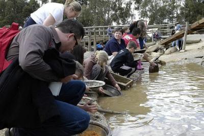 Busy with gold panning