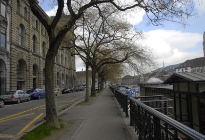 River Limmat side