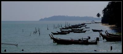 Chalong's fishing fleet