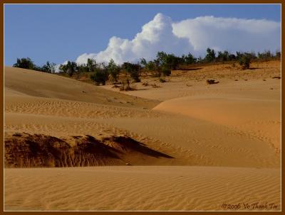 Mui Ne's sand dunes