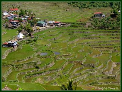 Batad's rice terraces