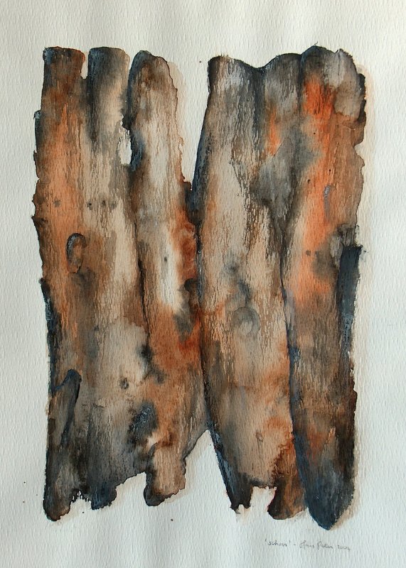 Bark abstract