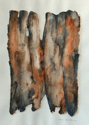 Bark abstract