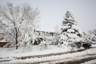 Our Abode, the morning after